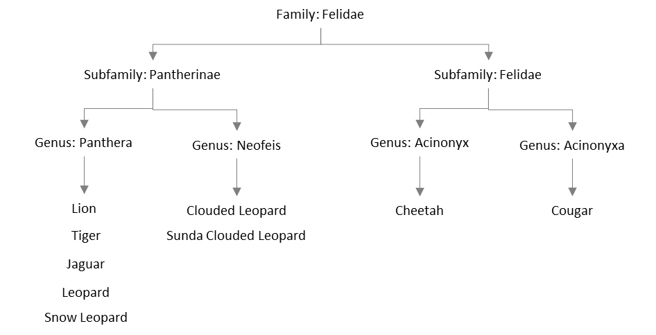 A picture containing chart

Description automatically generated